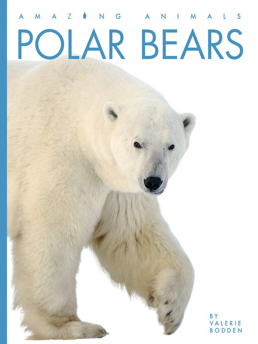 Title details for Polar Bears by Valerie Bodden - Available